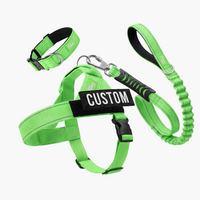 Neon Green