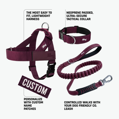 Dog Lovers Pack