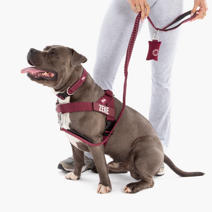 Dog Lovers Pack
