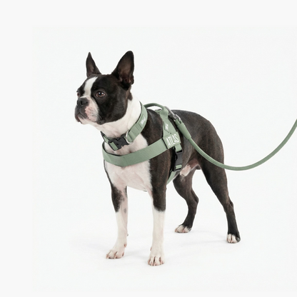 Dog Lovers Pack