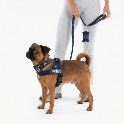 Dog Lovers Pack
