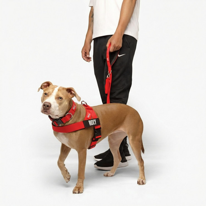 Dog Lovers Pack
