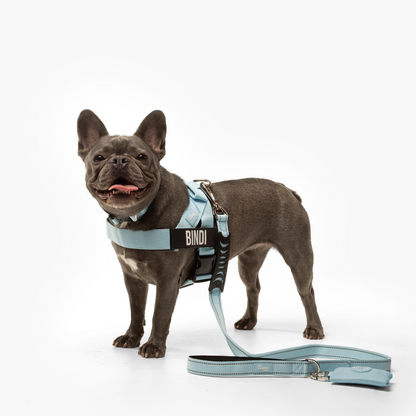 Dog Lovers Pack