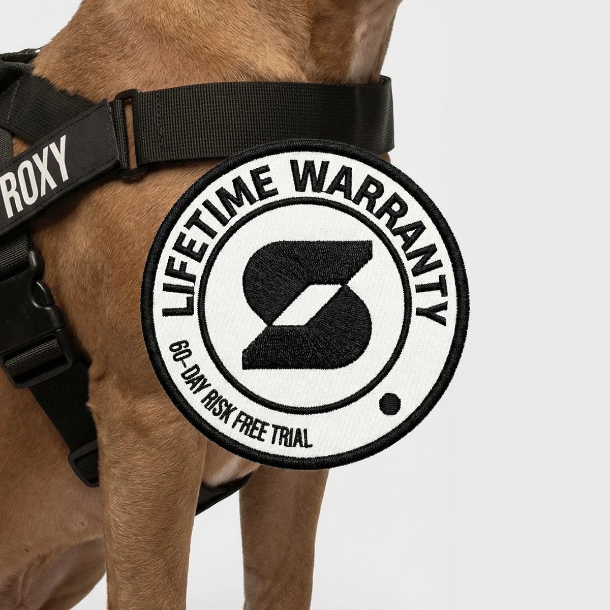 Personalised Dog Harness