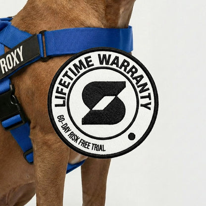 Personalised Dog Harness