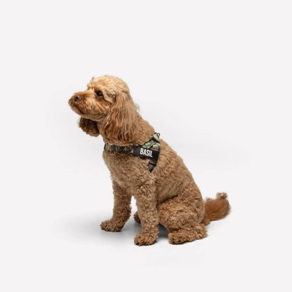 Personalised Dog Harness