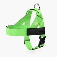 Neon Green