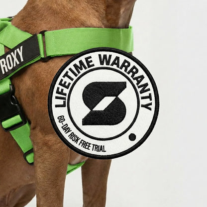 Personalised Dog Harness