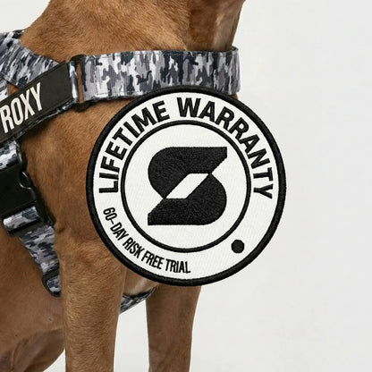 Personalised Dog Harness