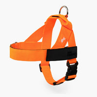 Hi-Vis Orange