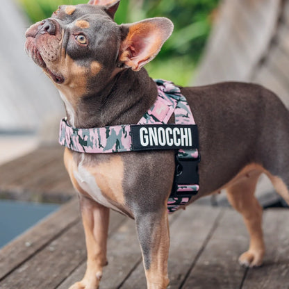 Personalised Dog Harness