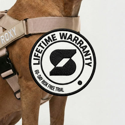 Personalised Dog Harness