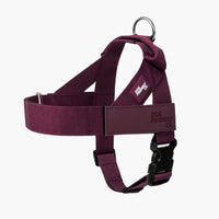 Premium Burgundy