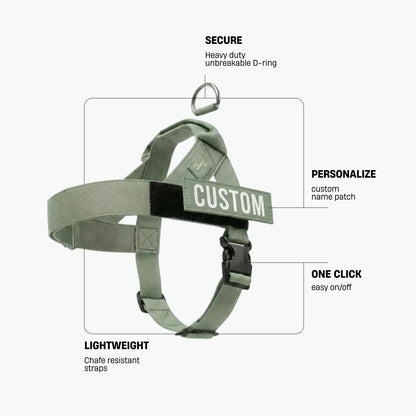 Personalised Dog Harness
