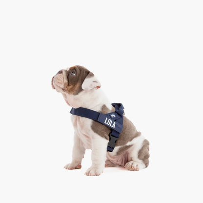 Personalised Dog Harness