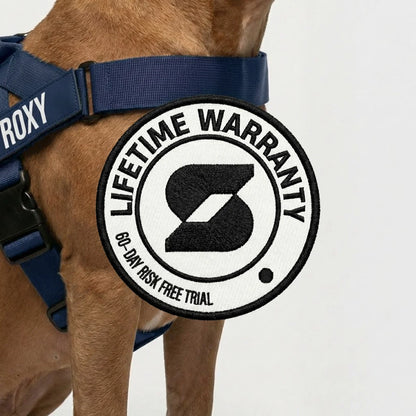Personalised Dog Harness