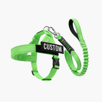Neon Green