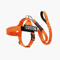 Hi-Vis Orange