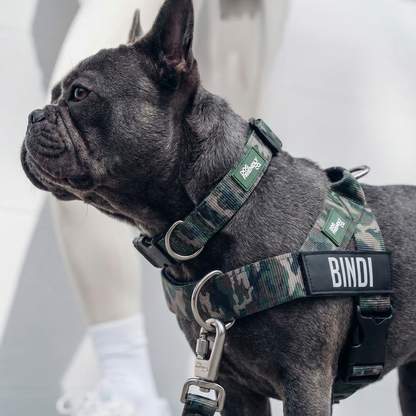 Ultimate No-Pull Bundle
