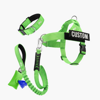Neon Green